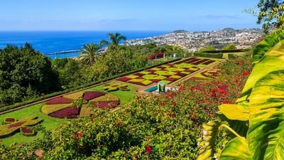 Madeira - En seniorfavoritt